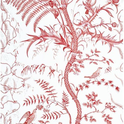 Brunschwig & Fils Tapet Bird and Thistle Red