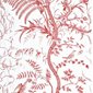 Brunschwig & Fils Tapet Bird and Thistle Red