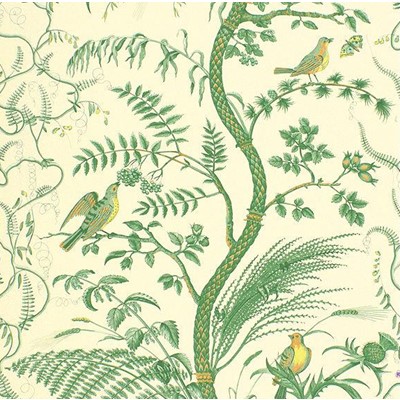 Brunschwig & Fils Tapet Bird and Thistle Green