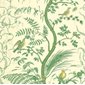 Brunschwig & Fils Tapet Bird and Thistle Green