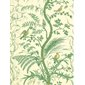 Brunschwig & Fils Tapet Bird and Thistle Green