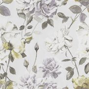 Designers Guild Tapet Couture Rose Mauve
