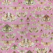 Designers Guild Tapet Issoria Rose