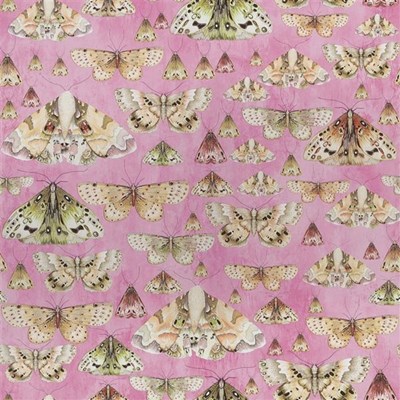 Designers Guild Tapet Issoria Rose