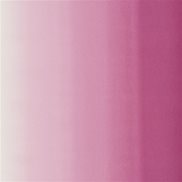 Designers Guild Tyg Padua Peony