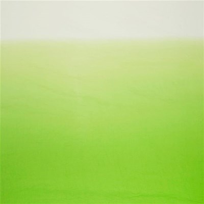 Designers Guild Tyg Saraille Grass