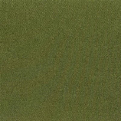Designers Guild Tyg Satinato Apple