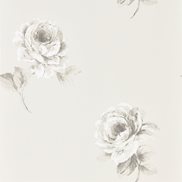 Sanderson Tapet Rosa Chalk
