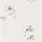 Sanderson Tapet Rosa Chalk