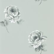 Sanderson Tapet Rosa Mint