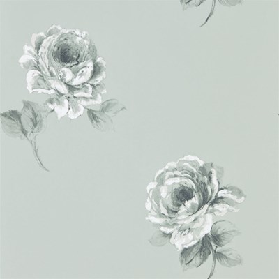 Sanderson Tapet Rosa Mint