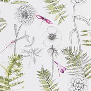 Designers Guild Tapet Acanthus Moss