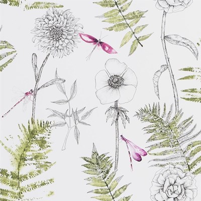 Designers Guild Tapet Acanthus Moss