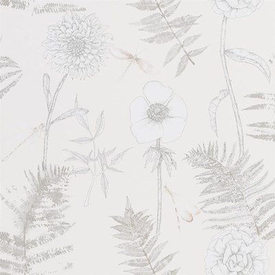 Designers Guild Tapet Acanthus Ivory