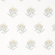 Sanderson Tyg Protea Flower Daffodil/Natural