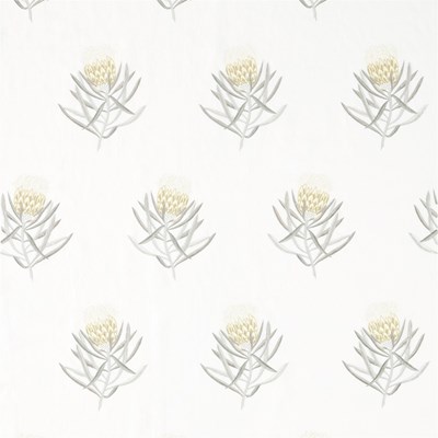 Sanderson Tyg Protea Flower Daffodil/Natural