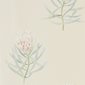 Sanderson Tapet Protea Flower Russet/Green