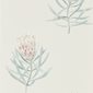 Sanderson Tapet Protea Flower Porceelain/Blush