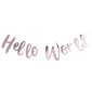 Ginger Ray Girlang Hello world