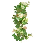 Mr Plant Konstväxt Ecalyptus