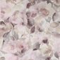 Designers Guild Tapet Surimono Tuberose