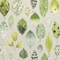 Designers Guild Tapet Tulsi Eau De Nil