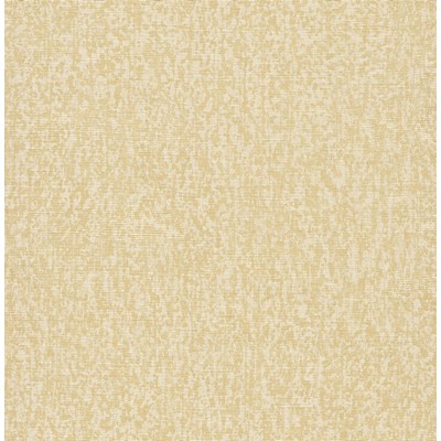 Intrade Tapet Reunited