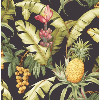 Intrade Tapet Maui Maui