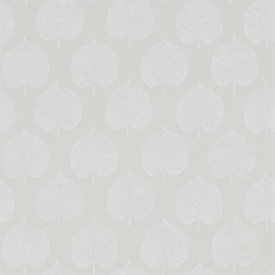 Sanderson Tapet Lyme Leaf Dove