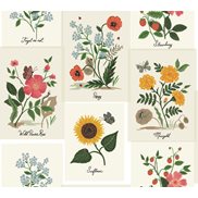 Rifle paper co Tapet Botanical Prints White/Pink