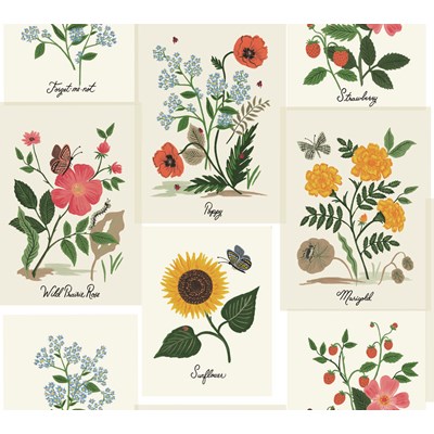 Rifle paper co Tapet Botanical Prints White/Pink