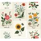 Rifle paper co Tapet Botanical Prints White/Pink