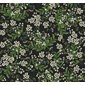 Rifle paper co Tapet Cornflower Black/Green