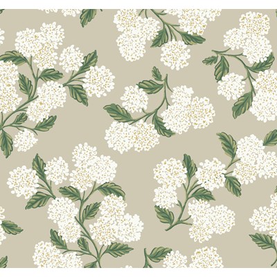 Rifle paper co Tapet Hydrangea Beige