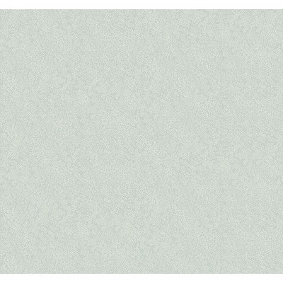 Rifle paper co Tapet Champagne Dots Mineral