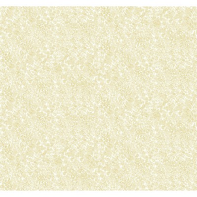 Rifle paper co Tapet Champagne Dots Gold/White