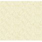 Rifle paper co Tapet Champagne Dots Gold/White