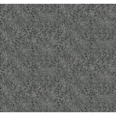 Rifle paper co Tapet Champagne Dots White/Black