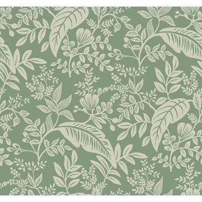 Rifle paper co Tapet Canopy Sage