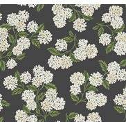 Rifle paper co Tapet Hydrangea Black/White
