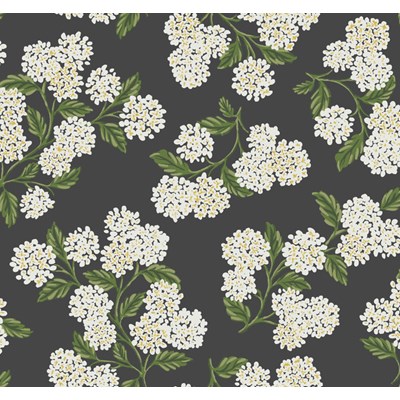 Rifle paper co Tapet Hydrangea Black/White