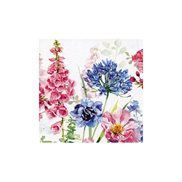 Servett Agapanthus