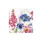 Servett Agapanthus