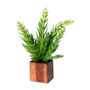 Cult Design Konstväxt Euphorbia Kaktus