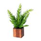 Cult Design Konstväxt Euphorbia Kaktus
