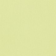 Sanderson Tapet Addison Plain Olive