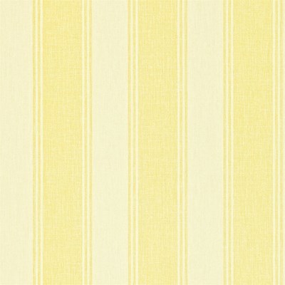 Sanderson Tapet Addison Stripe Primrose/Ivory