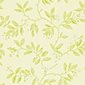 Sanderson Tapet Blossom Bough Cream/Sage