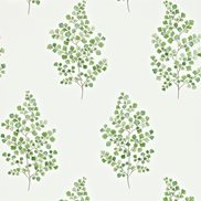 Sanderson Tapet Angel Ferns Emerald