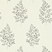 Sanderson Tapet Angel Ferns Charcoal